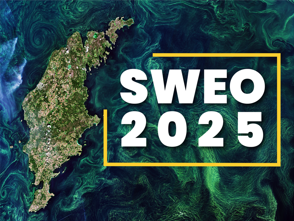 SWEO2025